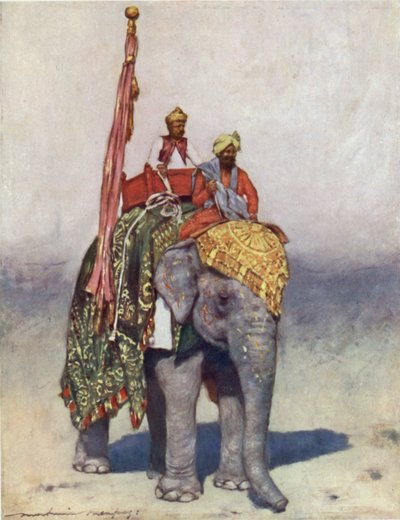 An Elephant from Jaipur by Mortimer Ludington Menpes